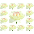 Róża główka 12 szt 4 cm Cream/Pink